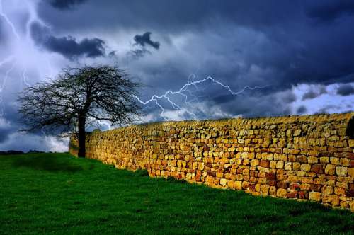 Tree Storm Sky Lightning Rain Weather Nature