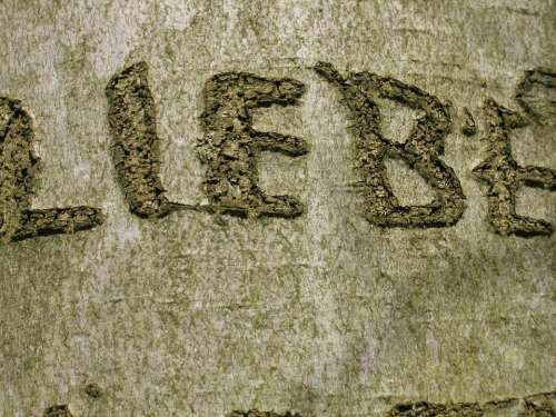 Tree By Scripture Love Engraved