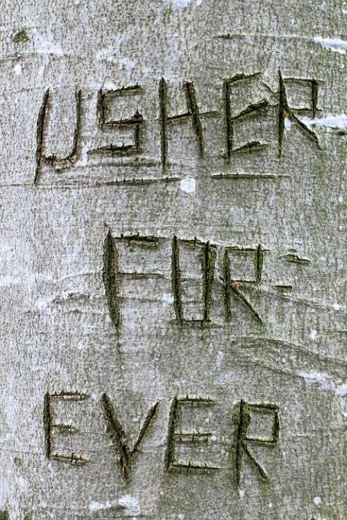 Tree Carved Name Symbol Engraved Eingeritzter Tree