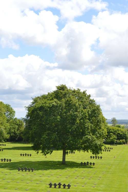 Tree Cemetery Normandy Sun Green Sky Cloud Lawn