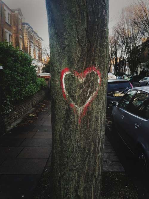 Tree Love Heart Street London Valentine Romantic