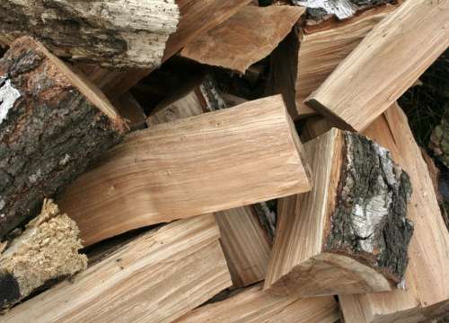 Tree Fuel Wood Stack Nature Background Firewood