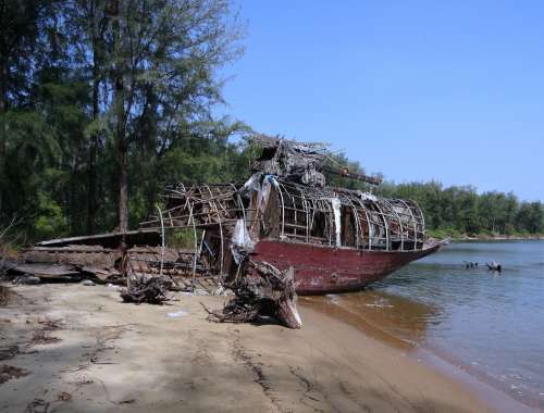 Tree Trunk Fallen Forest House-Boat Wrecked Karwar