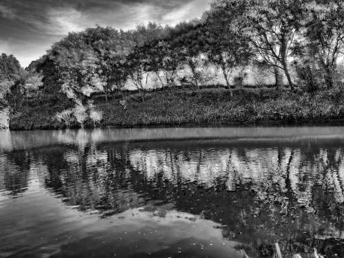 Trees Black And White Nature Lake