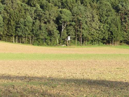 Trees Edge Of The Woods Nature Fields Arable