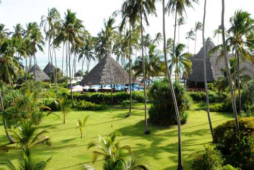 Tropical Zanzibar Ocean Paradise Palm Trees Garden