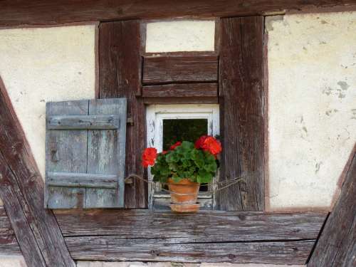 Truss Window Flower Shutter Museum Of Local History