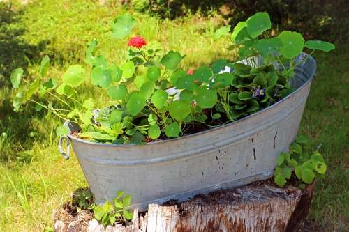 Tub Flowers Bucket Decoration Planters Deco