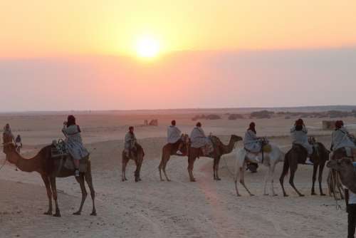 Tunis Camels Sahara Sky Desert Sunset Tourists
