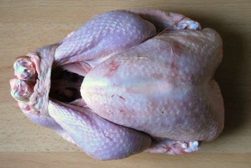 Turkey Poultry Christmas Turkey Power Supply