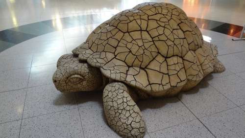 Turtle Las Vegas Airport Sculpture