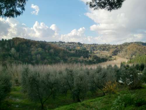 Tuscany Italy Landscape Sky Idyll Nature Rest