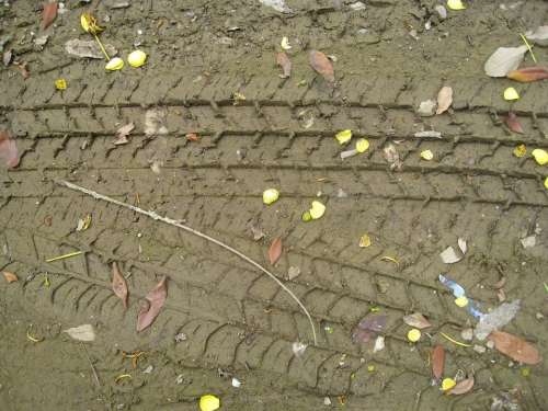 Tyre Tracks Tracks Marks Mud Wet Ground Dirt