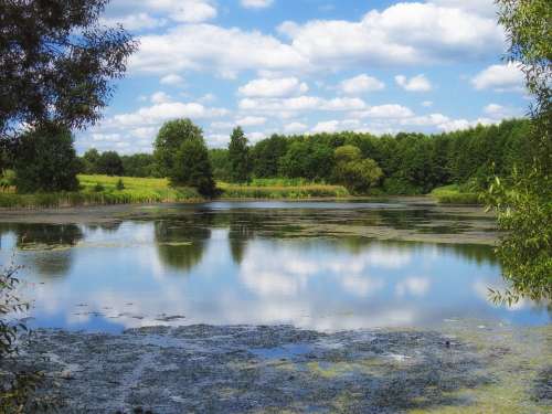 Ukraine Pond Water Reflections Landscape Scenic