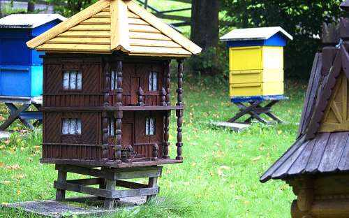Ul Ule Pasieka Cottage Bees Bee Swarm Beekeeping
