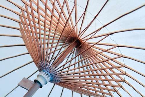 Umbrella Spokes Canopy Structure Circle Asian