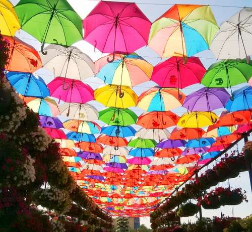 Umbrella Park Colorful Outdoor Dubai Uae