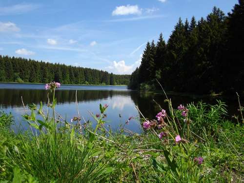 Upper Harz Water Shelf Mining Resin Pond