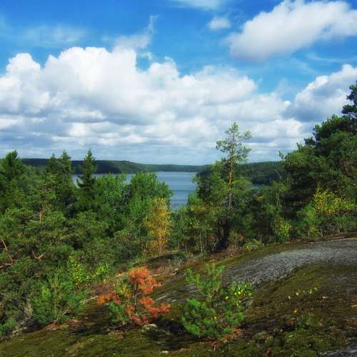 Uppland Sweden Lake Landscape Scenic Forest Trees