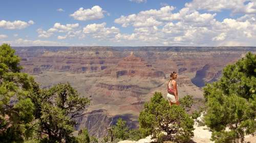 Usa Grand Canyon Nature Canyon National Park