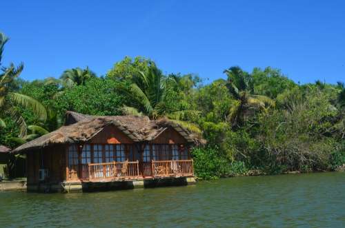 Vacation Hut Shack Palm Trees Palms Tropical