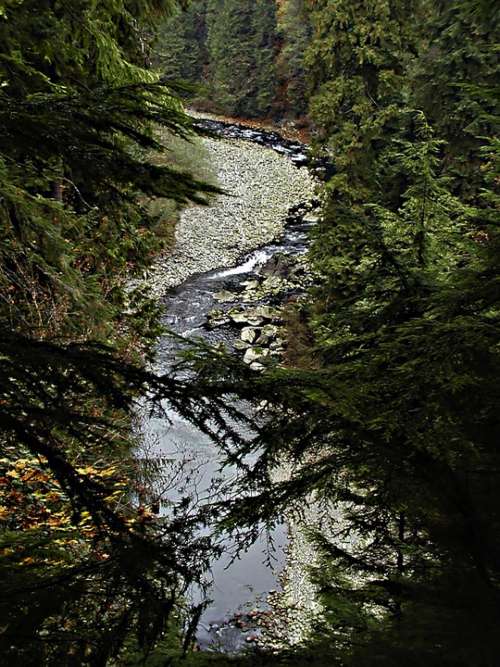 Vancouver British Columbia Canada Capilano River