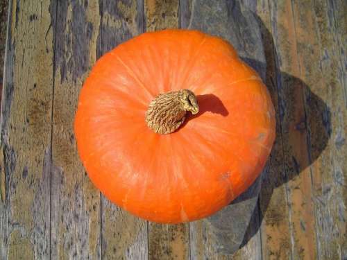 Vegetable Hokkaido Pumpkin Pumpkins Vegetables