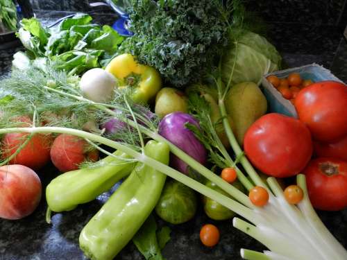 Vegetables Fruit Fresh Cabbage Food Healthy