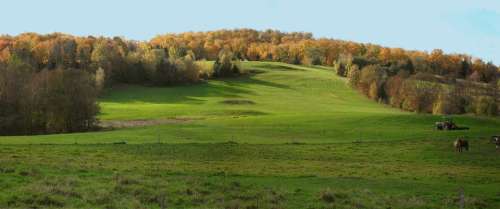 Vermont Meadow Fall Field Country View Seasonal