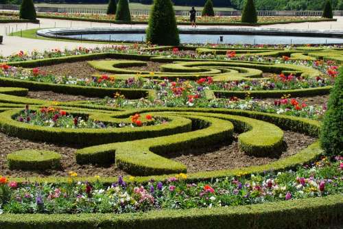 Versailles Garden Flowers Hedge Cis Fountain