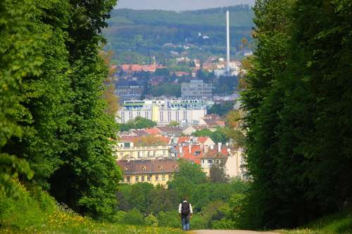 Vienna Schönbrunn Castle Park Trail Wanderer Away