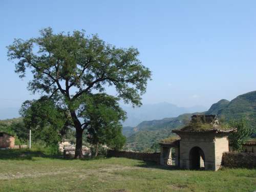 Village China Gate Ancient History Ruins Tree