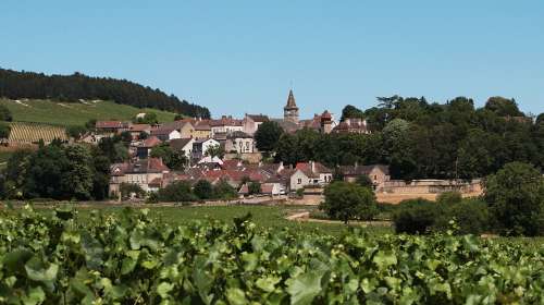 Village Burgundy Vines Vineyard France Grapes