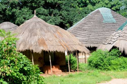 Village Africa Guinea Bissau Address Home Forest