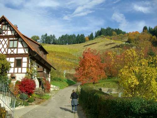 Vineyard Autumn Colorful Fachwerkhaus Sky Blue