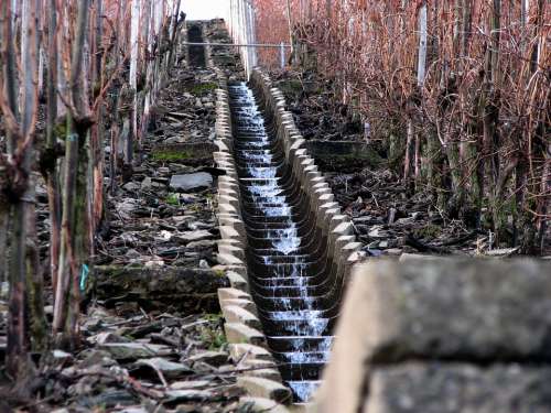 Vineyard Winter Water Stairs Irrigation
