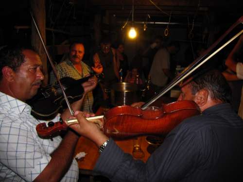 Violin Music Musician Plays Music Revel Party