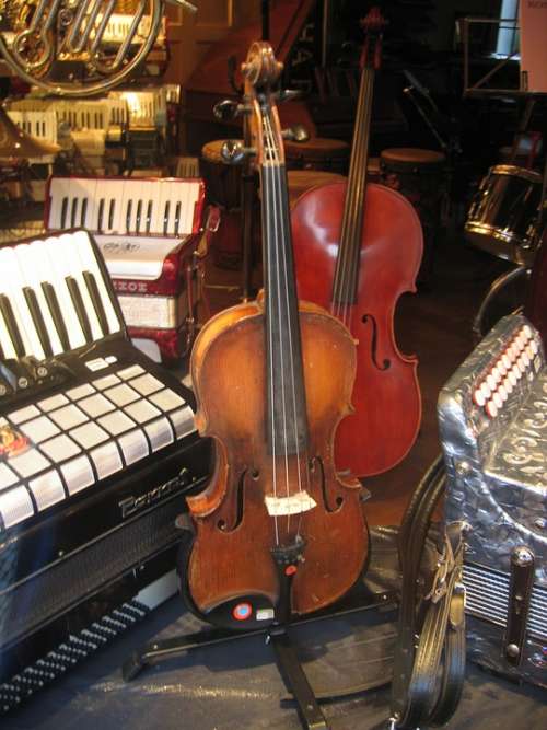 Violin Accordion Sale Musical Instruments Sound