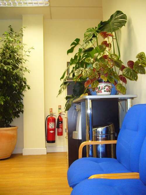 Waiting Area Chairs Indoor Plants Waiting Room