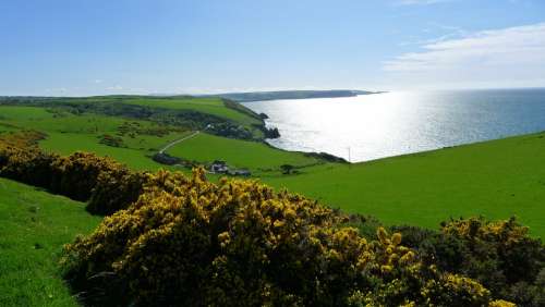 Wales Coast Flower Travel