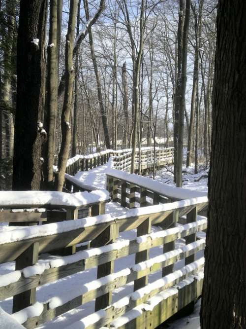 Walkway Path Wooden Rails Snow Winter Cold Ice