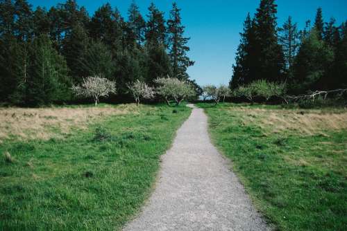 Walkway Hiking Trail Trail Pathway Field Path Path