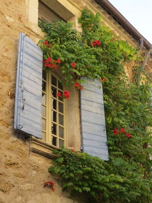Wall Village Provence France Building Flowers