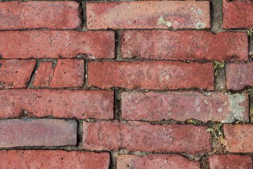 Wall Bricks Brick Texture Red Masonry Brick Wall