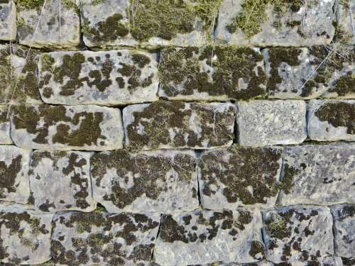 Wall Stone Moss Old Garden Weathered Nature