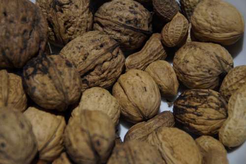 Walnuts Nuts Nut Walnut Nut Mix Peanuts