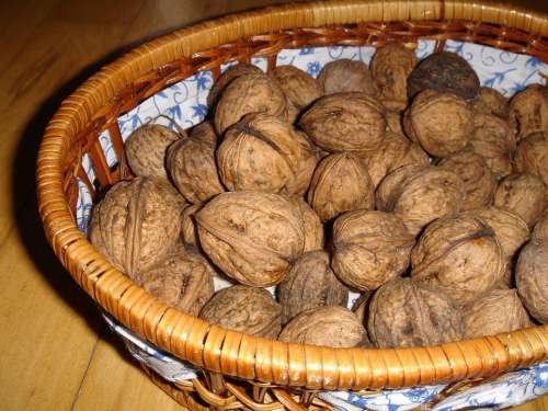 Walnuts In The Basket Nuts Healthy Health