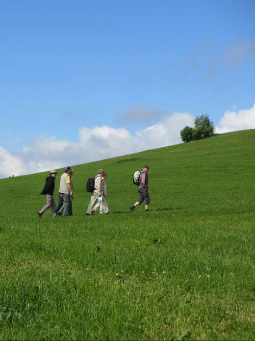 Wanderer Away Meadow Sky Blue Landscape Nature