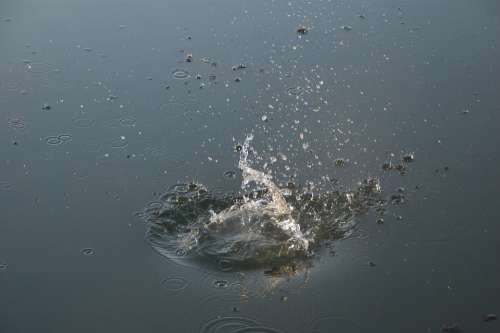 Water Drops Splash Movement