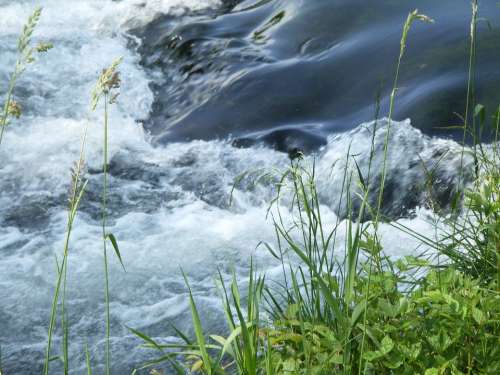 Water Grass River Landscape Flow